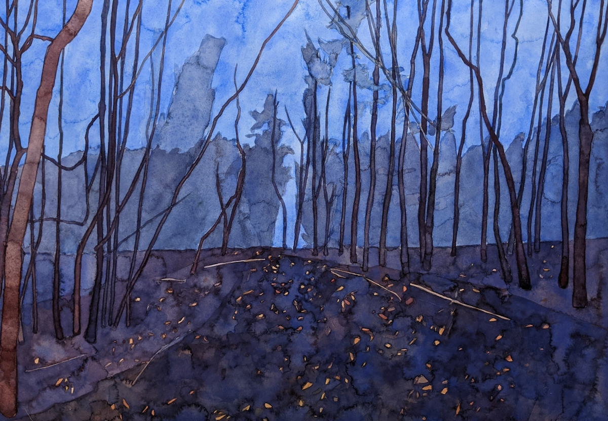 'Dusk in the Forest' by artist Katy Ellis
